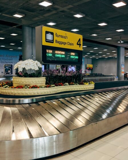 découvrez notre guide complet sur les bagages : conseils pour choisir le bon modèle, astuces pour bien les organiser et recommandations pour voyager sereinement. parfaits pour toutes vos aventures, nos conseils vous aideront à optimiser votre expérience de voyage.