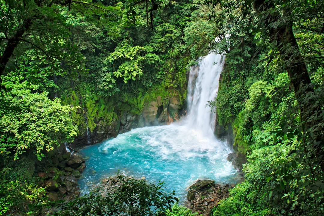 découvrez le costa rica, un paradis tropical réputé pour sa biodiversité exceptionnelle, ses plages de rêve et ses volcans majestueux. explorez sa nature préservée, ses parcs nationaux spectaculaires et profitez d'activités plein air inoubliables dans ce pays riche en cultures.