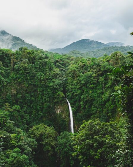 découvrez le costa rica, un paradis naturel au cœur de l'amérique centrale. explorez ses plages de sable fin, ses forêts tropicales luxuriantes et sa faune exceptionnelle. idéal pour les amateurs d'aventure et de détente, le costa rica vous attend pour une expérience inoubliable.