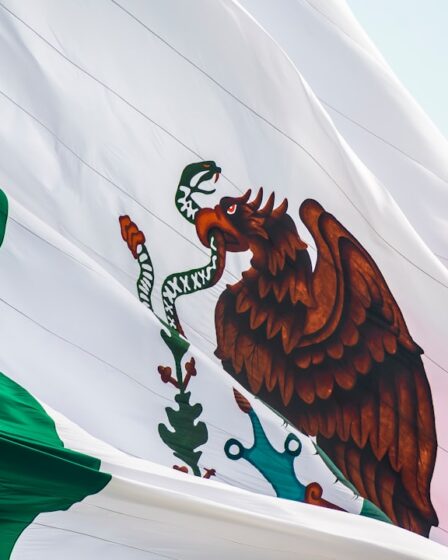 découvrez le mexique, un pays riche en culture, en paysages époustouflants et en traditions fascinantes. explorez ses sites archéologiques, savourez une cuisine délicieuse et plongez dans l'hospitalité chaleureuse de ses habitants.