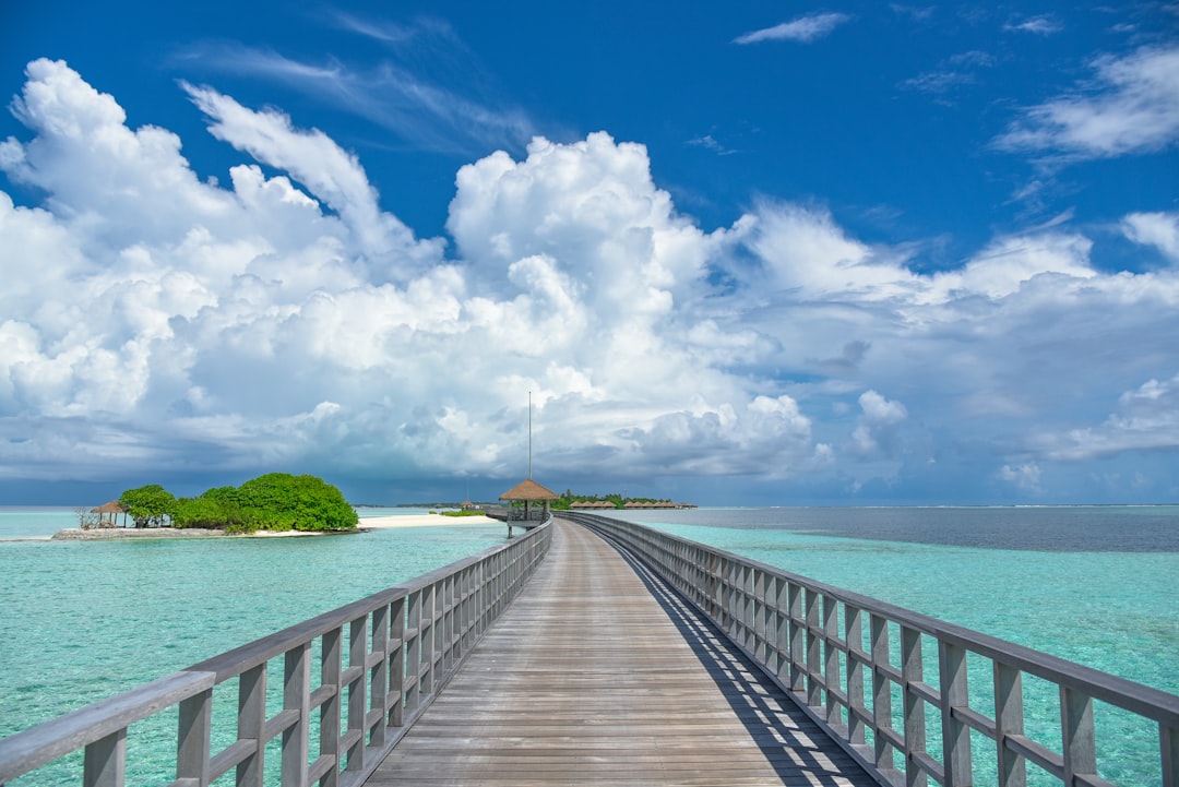 découvrez les merveilles du tourisme à travers le monde : des destinations incontournables, des conseils pratiques, et des expériences uniques qui éveilleront votre esprit aventurier. que vous cherchiez des plages paradisiaques, des montagnes majestueuses ou des villes chargées d'histoire, notre guide complet vous aidera à planifier le voyage de vos rêves.
