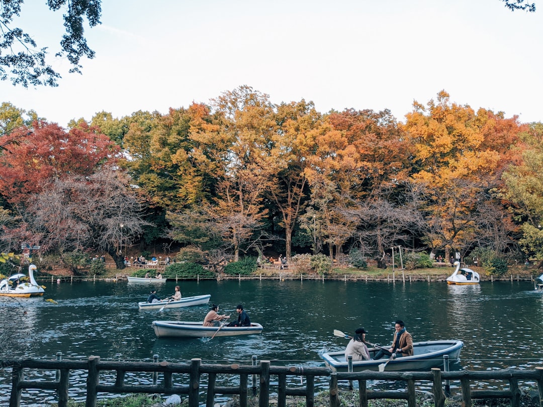 découvrez une multitude d'activités passionnantes à faire en solo, en famille ou entre amis. explorez des options variées allant des loisirs créatifs aux aventures en plein air, et trouvez l'inspiration pour votre prochaine sortie ou moment de détente.