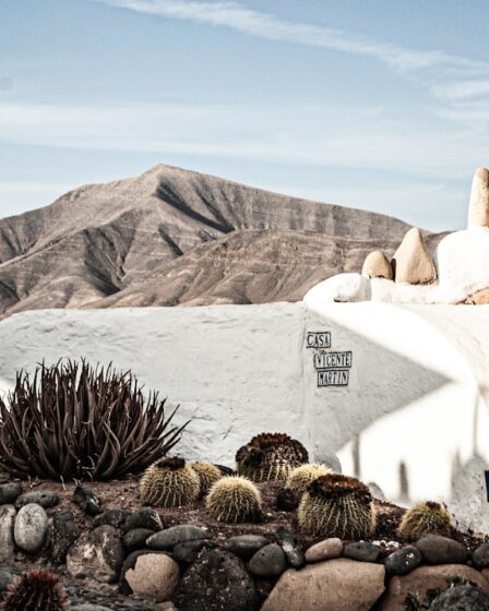 découvrez lanzarote, une île enchanteresse des canaries, célèbre pour ses paysages volcaniques spectaculaires, ses plages paradisiaques et sa culture riche. explorez ses parcs naturs, dégustez des vins locaux et vivez une expérience inoubliable au cœur de cette destination unique.