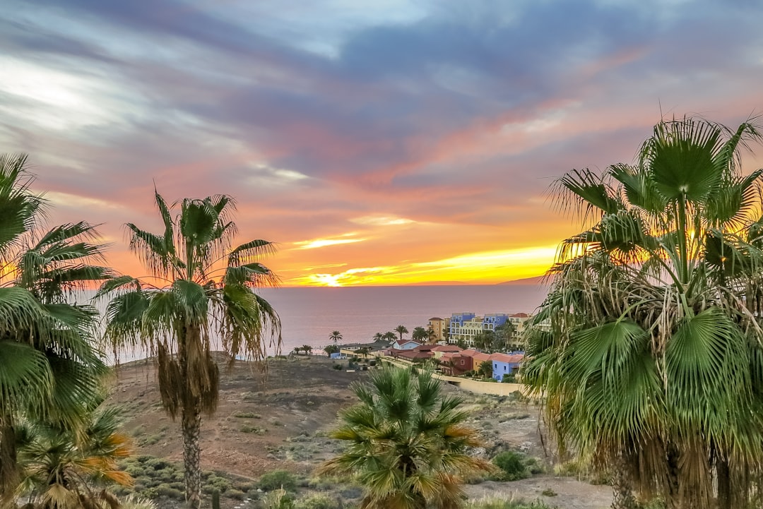 découvrez tenerife, une île paradisiaque des canaries, connue pour ses paysages volcaniques spectaculaires, ses plages de sable doré et son climat ensoleillé toute l'année. explorez ses parcs naturels, savourez la cuisine locale et profitez d'activités variées, du trekking aux sports nautiques. tenerife, une destination de rêve pour tous les amoureux de la nature et des aventures.