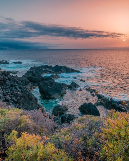 découvrez tenerife, l'île ensoleillée des canaries, célèbre pour ses paysages volcaniques, ses plages magnifiques et sa riche culture. profitez d'activités variées telles que la randonnée au teide, la découverte de charmants villages et la dégustation de la délicieuse cuisine locale.