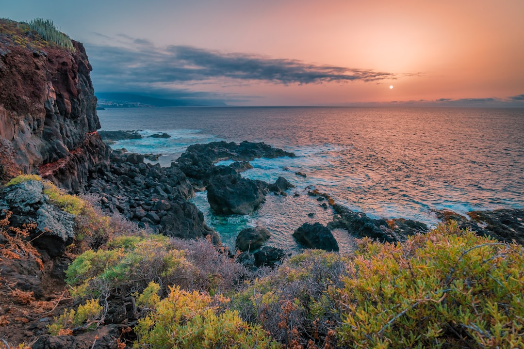 découvrez tenerife, l'île ensoleillée des canaries, célèbre pour ses paysages volcaniques, ses plages magnifiques et sa riche culture. profitez d'activités variées telles que la randonnée au teide, la découverte de charmants villages et la dégustation de la délicieuse cuisine locale.