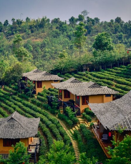 découvrez le charme unique du tourisme thaïlandais, où traditions anciennes et paysages époustouflants se rencontrent. explorez les plages paradisiaques, les temples majestueux et la riche culture culinaire de la thaïlande. partez à l'aventure et laissez-vous séduire par ce pays aux mille merveilles.