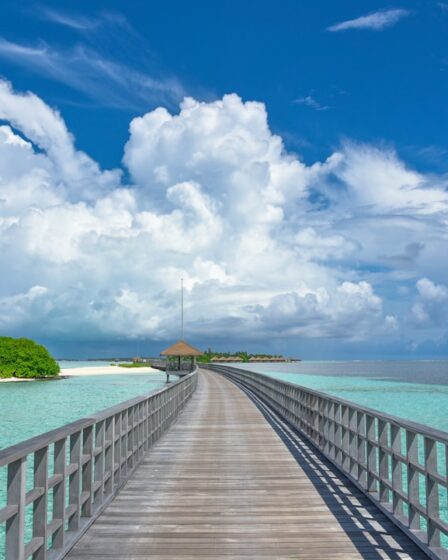 découvrez le monde fascinant du tourisme ! explorez des destinations uniques, plongez dans des cultures diversifiées et vivez des expériences inoubliables. que vous soyez en quête d'aventure, de détente ou de découvertes, le tourisme offre une multitude d'opportunités pour satisfaire toutes vos envies de voyage.
