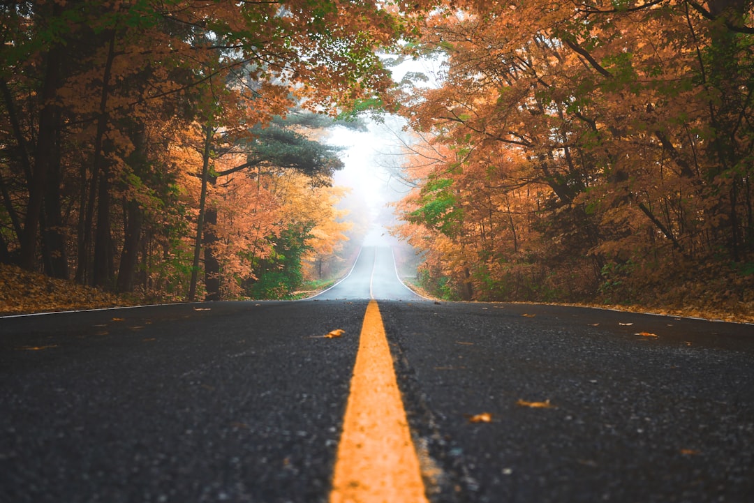 découvrez l'odyssée passionnante de la vie à travers un voyage fascinant, rempli d'aventures inoubliables et de moments mémorables. rejoignez-nous dans cette exploration enrichissante qui vous fera voyager au-delà des frontières.
