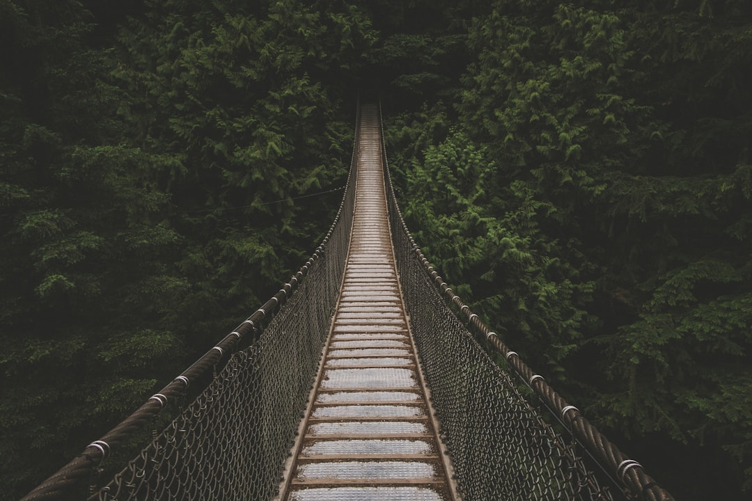 découvrez l'art de l'évasion à travers notre série 'journey'. explorez des destinations captivantes, vivez des aventures inoubliables et laissez-vous inspirer par des récits uniques qui vous transporteront au cœur de la découverte.