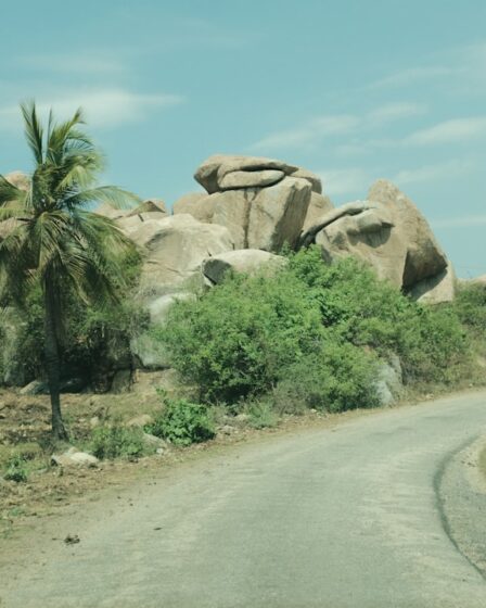 découvrez un itinéraire complet pour explorer le sri lanka, de ses plages magnifiques à ses montagnes verdoyantes, en passant par ses temples anciens et sa faune sauvage. parfait pour planifier votre aventure inoubliable sur l'île de l'émeraude.