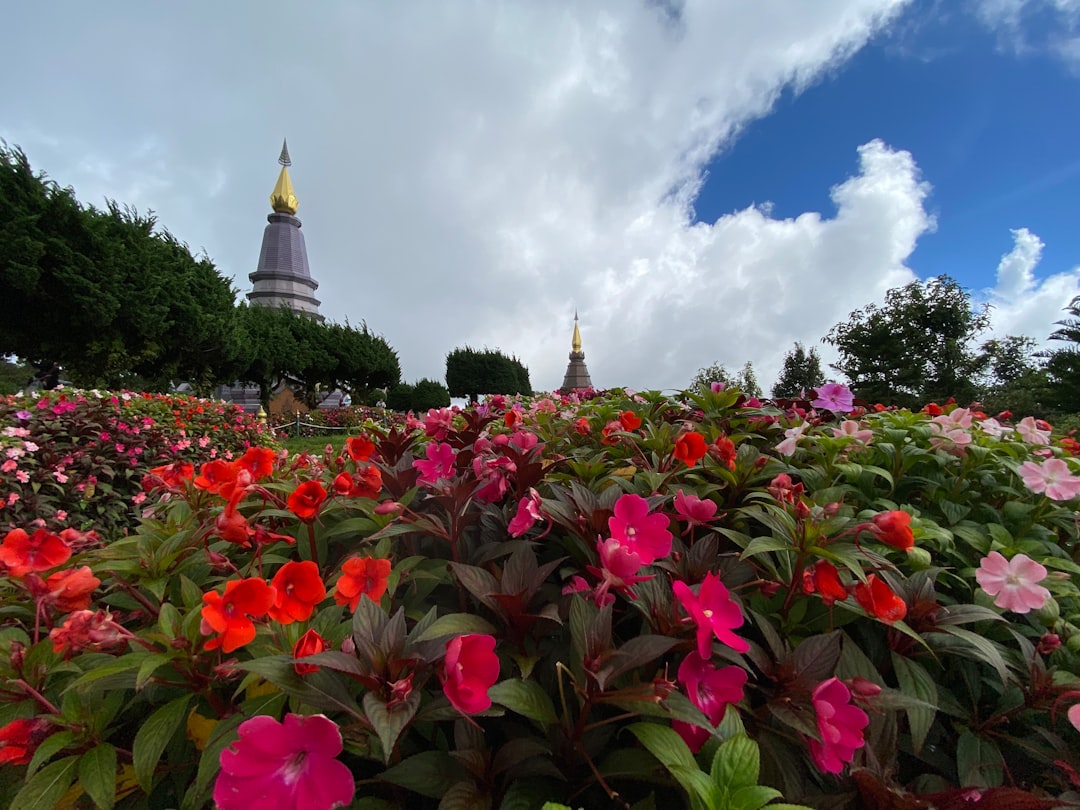 découvrez la beauté incroyable de la thaïlande, un pays où les plages de sable blanc, les temples historiques et la cuisine délicieuse s'unissent pour offrir une expérience inoubliable. plongez dans la culture fascinante et les paysages à couper le souffle qui font de la thaïlande une destination rêvée.