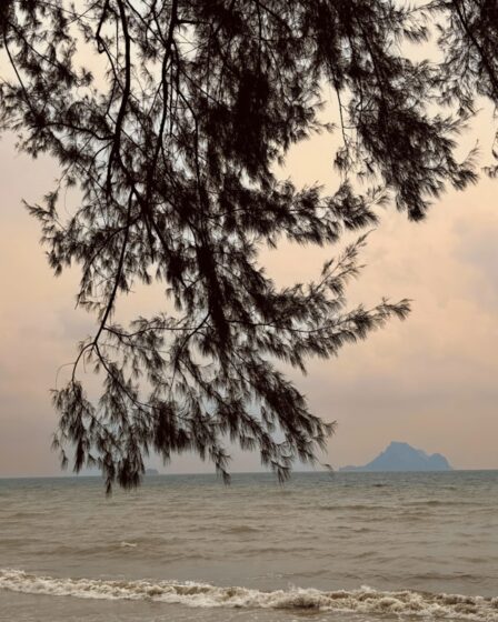 découvrez la beauté éblouissante de la thaïlande : plages paradisiaques, culture riche, gastronomie savoureuse et paysages à couper le souffle. partez à l'aventure dans ce pays fascinant et laissez-vous envoûter par ses charmes uniques.