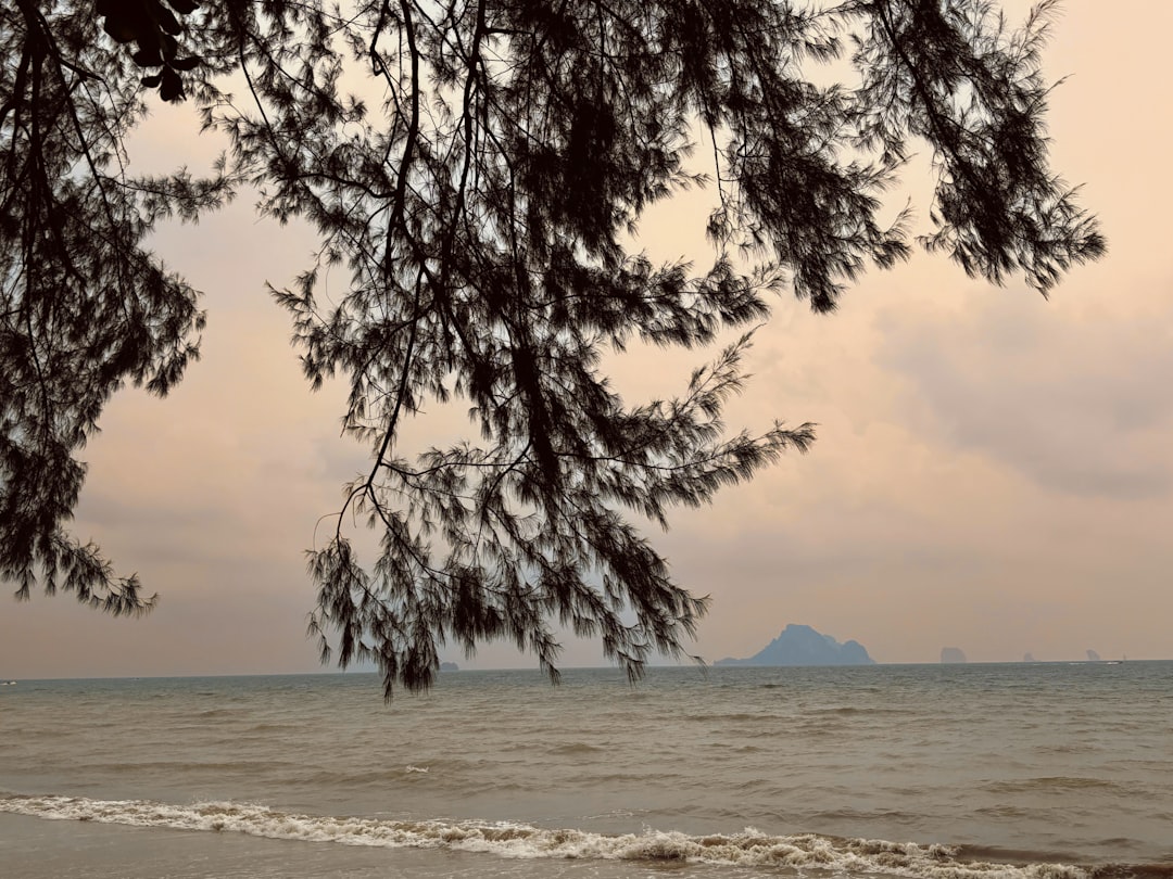 découvrez la beauté éblouissante de la thaïlande : plages paradisiaques, culture riche, gastronomie savoureuse et paysages à couper le souffle. partez à l'aventure dans ce pays fascinant et laissez-vous envoûter par ses charmes uniques.