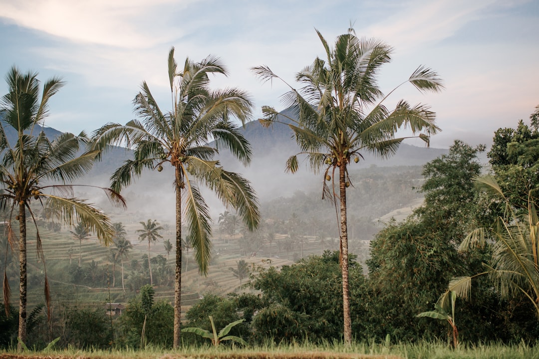 découvrez bali, une île paradisiaque d’indonésie réputée pour ses plages de sable fin, ses temples majestueux, sa culture vibrante et ses paysages à couper le souffle. parfait pour un voyage inoubliable entre détente, aventure et découvertes.