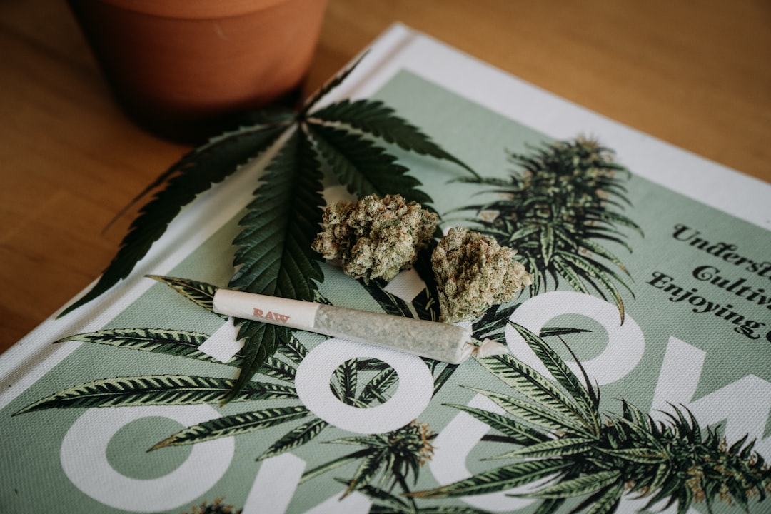 découvrez tout ce qu’il faut savoir sur le cannabis : ses usages, ses effets, la législation en france et des conseils pour une consommation responsable.