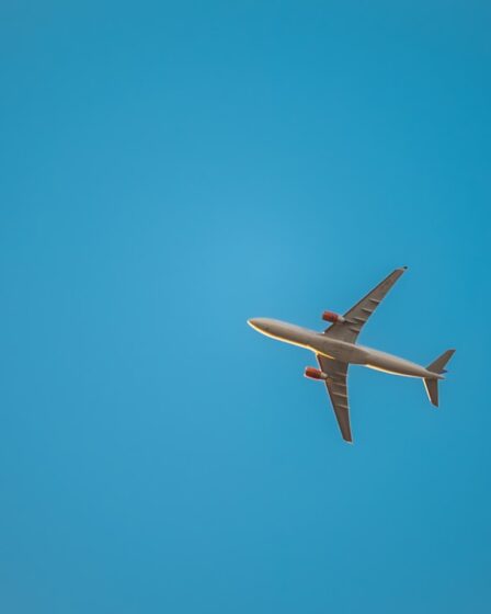 découvrez comment obtenir des vols gratuits, astuces et conseils pratiques pour voyager sans frais partout dans le monde. profitez des offres et programmes pour gagner vos billets d’avion !