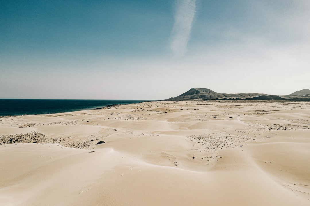 découvrez fuerteventura, une île des canaries réputée pour ses plages de sable blanc, ses paysages volcaniques uniques et son atmosphère paisible, idéale pour des vacances ensoleillées toute l'année.