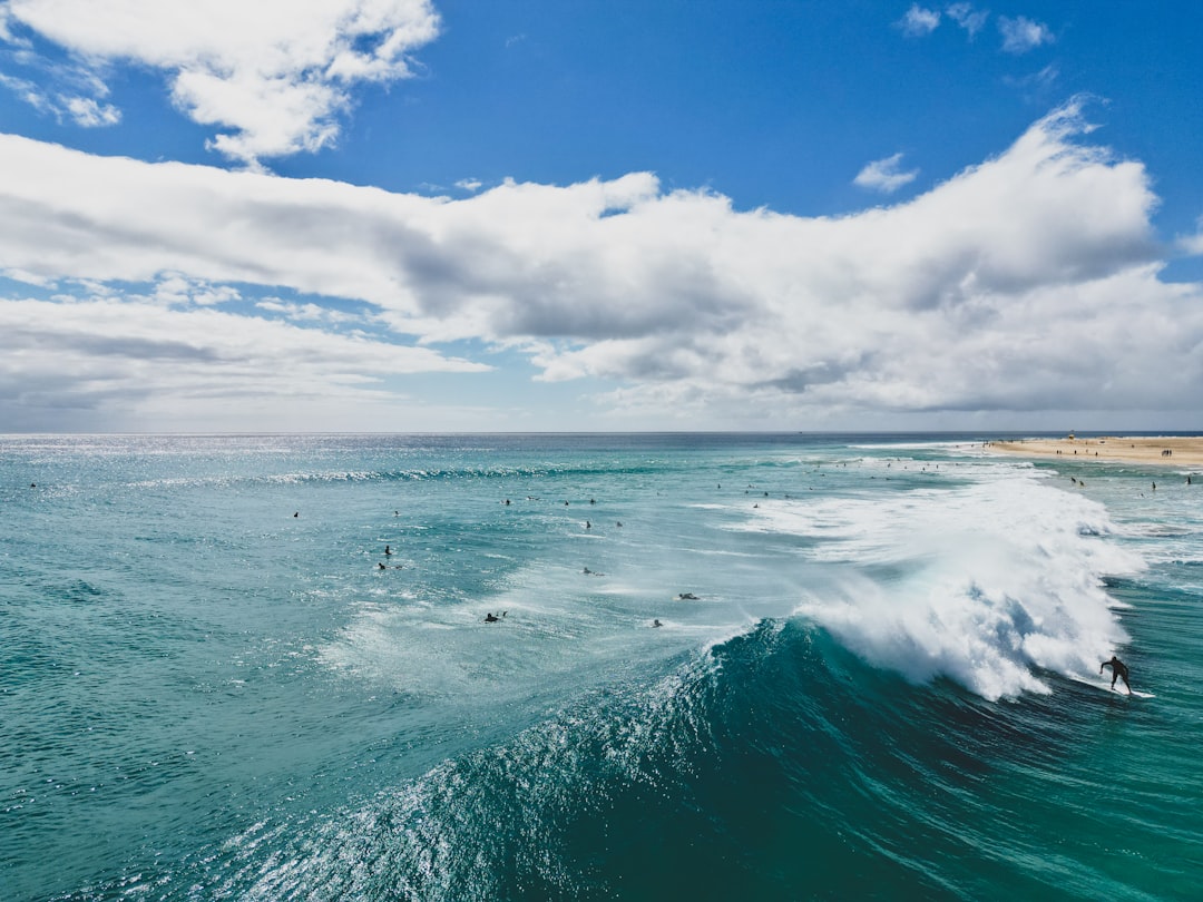 découvrez fuerteventura, une île des canaries réputée pour ses plages de sable fin, ses eaux turquoise et ses paysages volcaniques uniques. profitez du soleil, des sports nautiques et d’une nature préservée pour des vacances inoubliables.