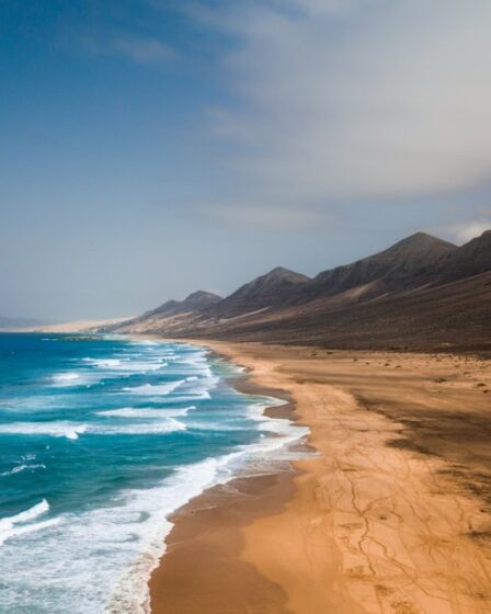 découvrez fuerteventura, une île des canaries réputée pour ses plages de sable doré, son climat ensoleillé et ses paysages volcaniques uniques. idéale pour les amateurs de détente, de sports nautiques et de nature préservée.
