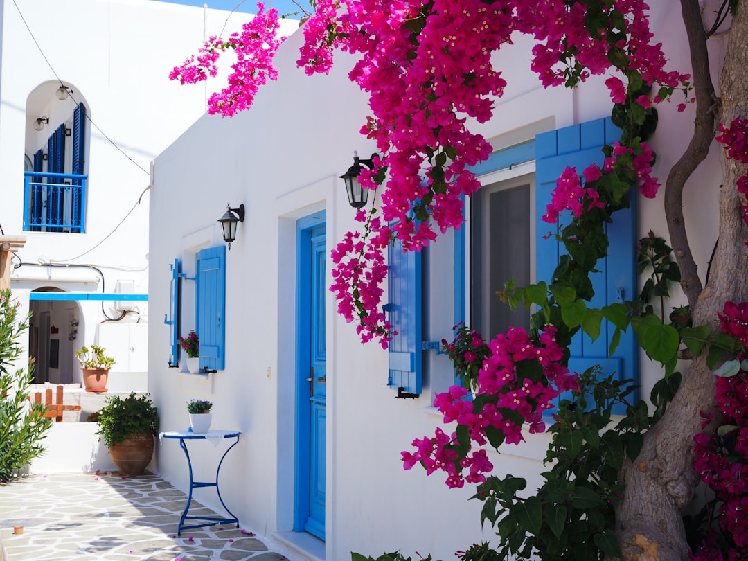 mykonos, perle des cyclades : plages dorées, moulins iconiques, villages blanchis, eaux turquoise, vie nocturne vibrante et gastronomie grecque. partez !