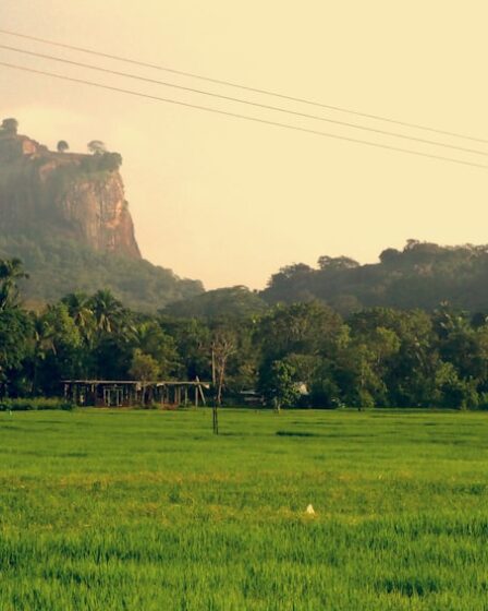 découvrez le sri lanka, une île paradisiaque aux paysages exotiques et à la culture fascinante. explorez ses plages idylliques, ses sites historiques et sa nature luxuriante le temps d’un voyage inoubliable.