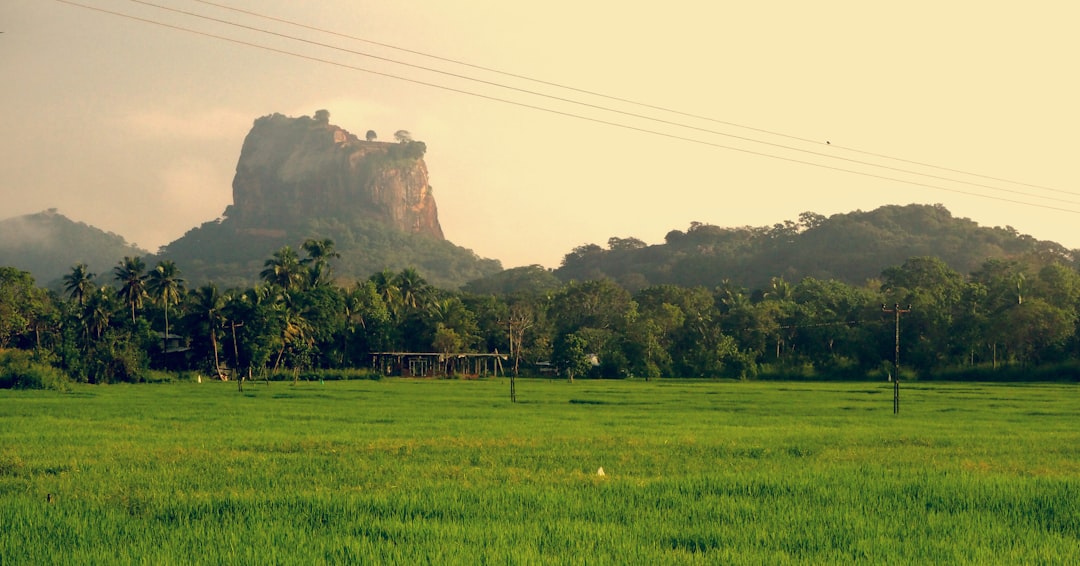 découvrez un itinéraire complet pour explorer les merveilles du sri lanka : temples anciens, plages idylliques, plantations de thé et rencontres authentiques. conseils, étapes incontournables et astuces voyage pour organiser votre séjour inoubliable au sri lanka.