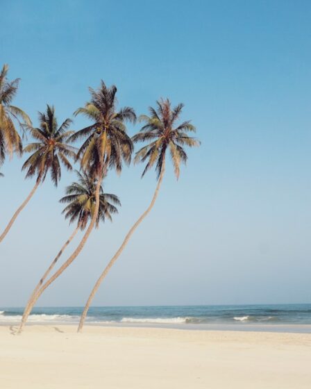 découvrez le meilleur itinéraire pour explorer le sri lanka : temples, plages, parcs nationaux et conseils pratiques pour un voyage inoubliable. parfait pour les amoureux de culture, nature et aventure.