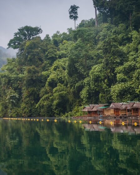 découvrez la thaïlande : ses plages paradisiaques, sa cuisine savoureuse et sa culture fascinante. préparez votre voyage avec nos conseils pour explorer temples, marchés animés et paysages exotiques.