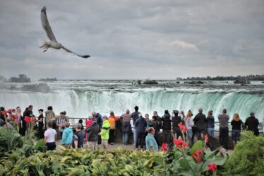 découvrez le monde fascinant du tourisme : des destinations incontournables aux conseils pratiques pour un voyage inoubliable. explorez, rêvez et planifiez votre prochaine aventure avec nos guides détaillés et inspirations incontournables.
