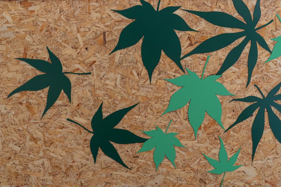 découvrez tout ce qu'il faut savoir sur le trafic de cannabis : ses enjeux, ses impacts économiques et sociaux, ainsi que la législation en vigueur. informez-vous sur les réalités et les risques liés à ce marché illicite.