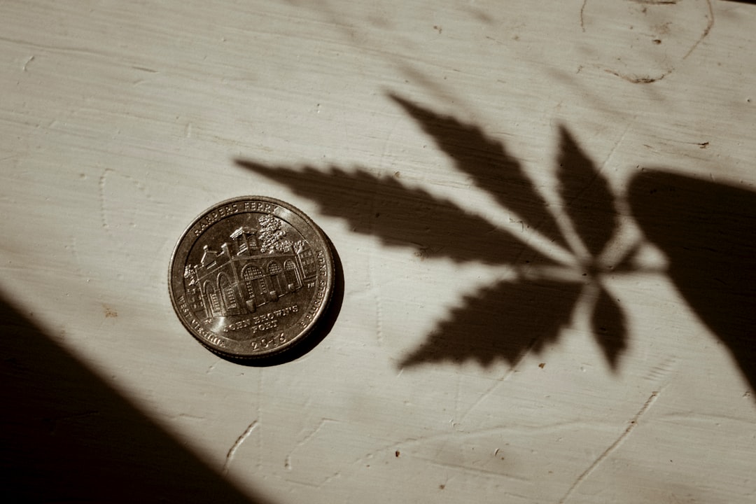 découvrez tout ce qu’il faut savoir sur le trafic de cannabis : définitions, enjeux, conséquences et lutte contre ce phénomène à l’échelle nationale et internationale.