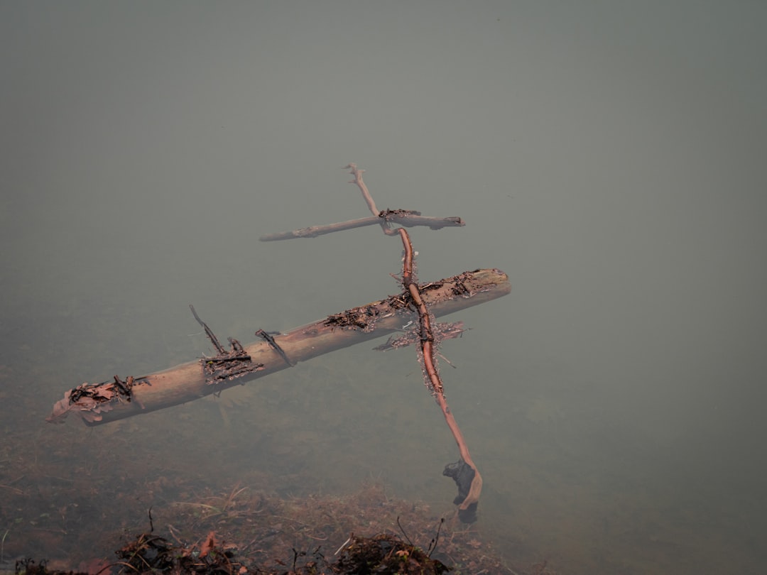 découvrez la signification du terme 'ceasefire', son importance dans les conflits internationaux et son impact sur la paix et la sécurité mondiale.