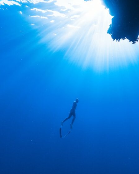 découvrez des destinations fascinantes à travers le monde, des conseils de voyage, des idées d’itinéraires et des expériences inoubliables pour organiser vos prochaines aventures.