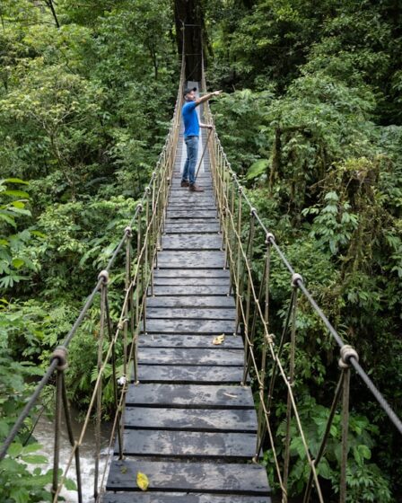découvrez l'écotourisme : une façon responsable de voyager tout en respectant la nature et les communautés locales. explorez des destinations authentiques et préservez l'environnement lors de vos aventures.