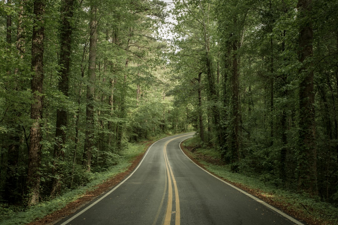 partez à l'aventure avec nos conseils et inspirations pour réussir votre road trip. itinéraires, astuces et destinations pour un voyage inoubliable sur les routes.