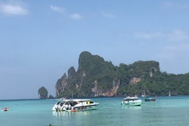 découvrez des saveurs exotiques et rafraîchissantes avec notre sélection thaïlandaise cet été. savourez des plats authentiques et vivez une expérience culinaire unique pour ensoleiller votre saison estivale.