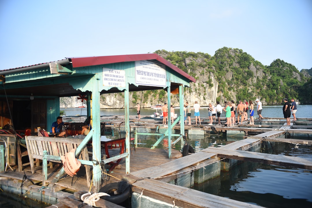 découvrez les meilleurs sites de plongée en thaïlande, entre eaux turquoise, récifs colorés et une vie marine exceptionnelle pour une expérience sous-marine inoubliable.