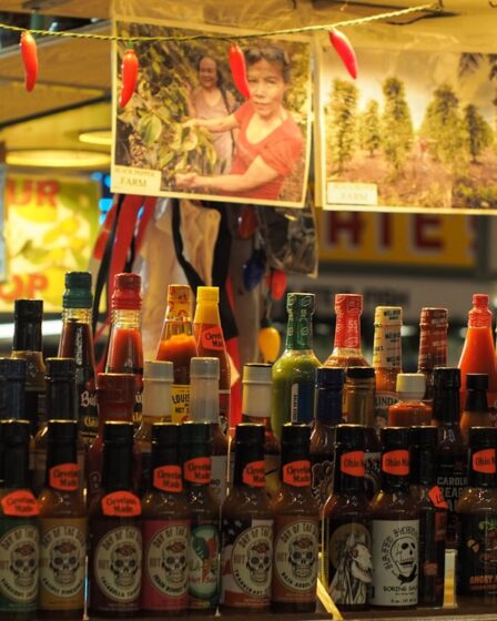 découvrez les réglementations sur l'alcool en thaïlande : limites d'âge, heures de vente, interdictions et conseils pour consommer légalement et en toute sécurité.