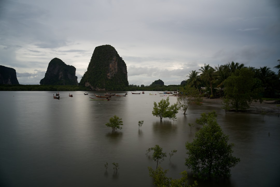 informations et mises à jour sur les inondations en thaïlande : causes, impact, zones touchées et conseils de sécurité pour les habitants et voyageurs.