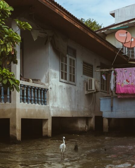 découvrez les dernières informations sur les inondations en thaïlande, leurs impacts et les mesures de prévention en cours pour protéger les populations et les infrastructures.