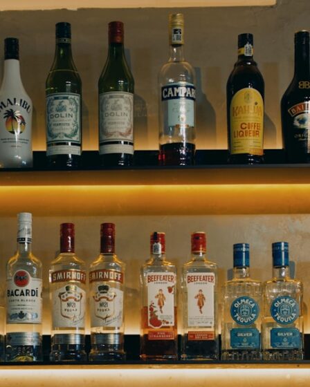 découvrez les sanctions liées à l'alcool, leurs implications légales et comment les éviter pour garantir votre sécurité et celle des autres.