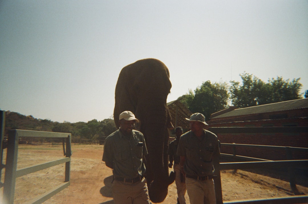 découvrez le voyage responsable : explorez le monde en respectant l'environnement, soutenant les communautés locales et réduisant votre impact écologique.